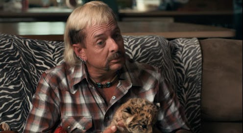 Joe Exotic 'Tiger King' Netflix