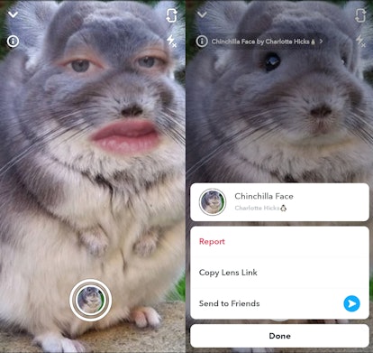 These 10 Animal Face Filters On Snapchat Will Liven Up Your Story