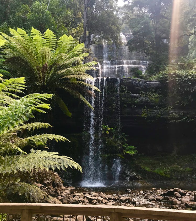Lush vegetation and a waterfall are in Mount Field National Park.
