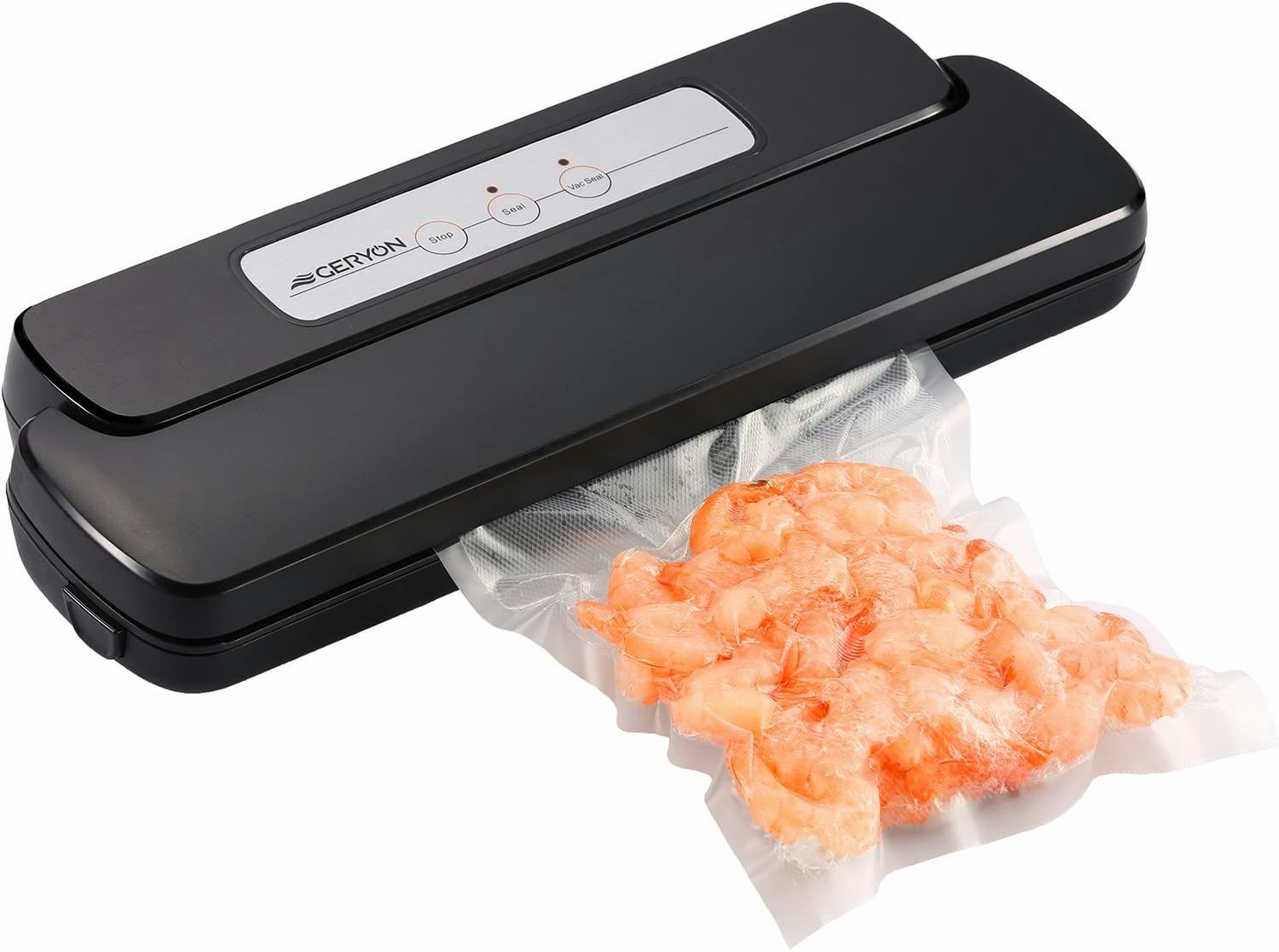 The 4 Best Vacuum Sealers Under 100