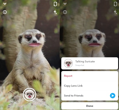 These are the best animal face filters on Snapchat right now.