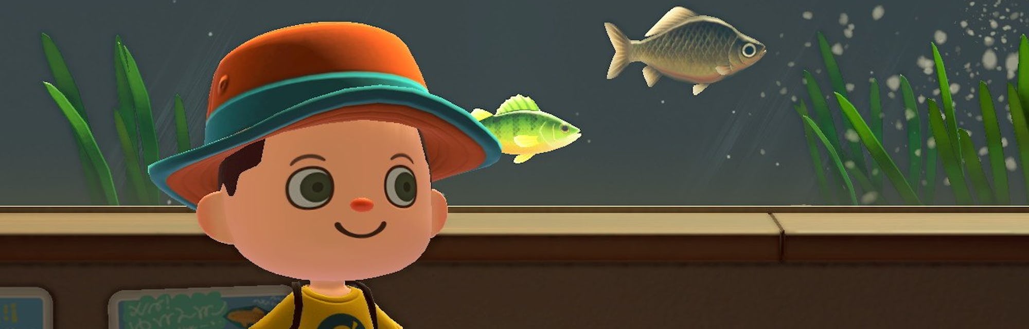 Animal Crossing New Horizons March Fish And Bugs List Everything Leaving Animal Crossing New Horizons March Fish And Bugs List Everything Leaving