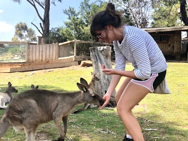 A woman smiles and bends down to feed a kangaroo.