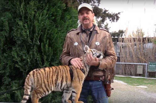 Where Is It Legal To Own Tigers? ‘Tiger King’ Sheds Light On Realities