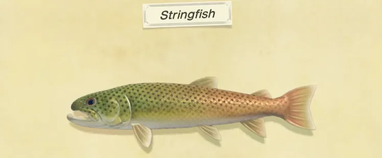 Stringfish ‘Animal Crossing: New Horizons’ March fish and bugs list: Everything ...