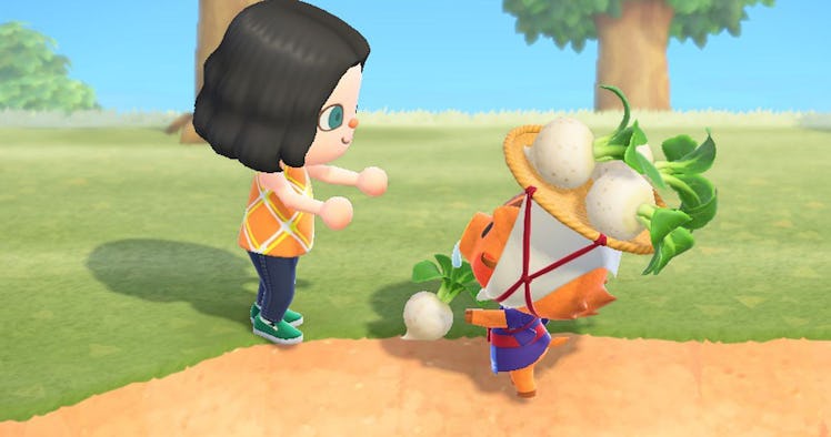 Stalk Market scene in "Animal Crossing: New Horizons"