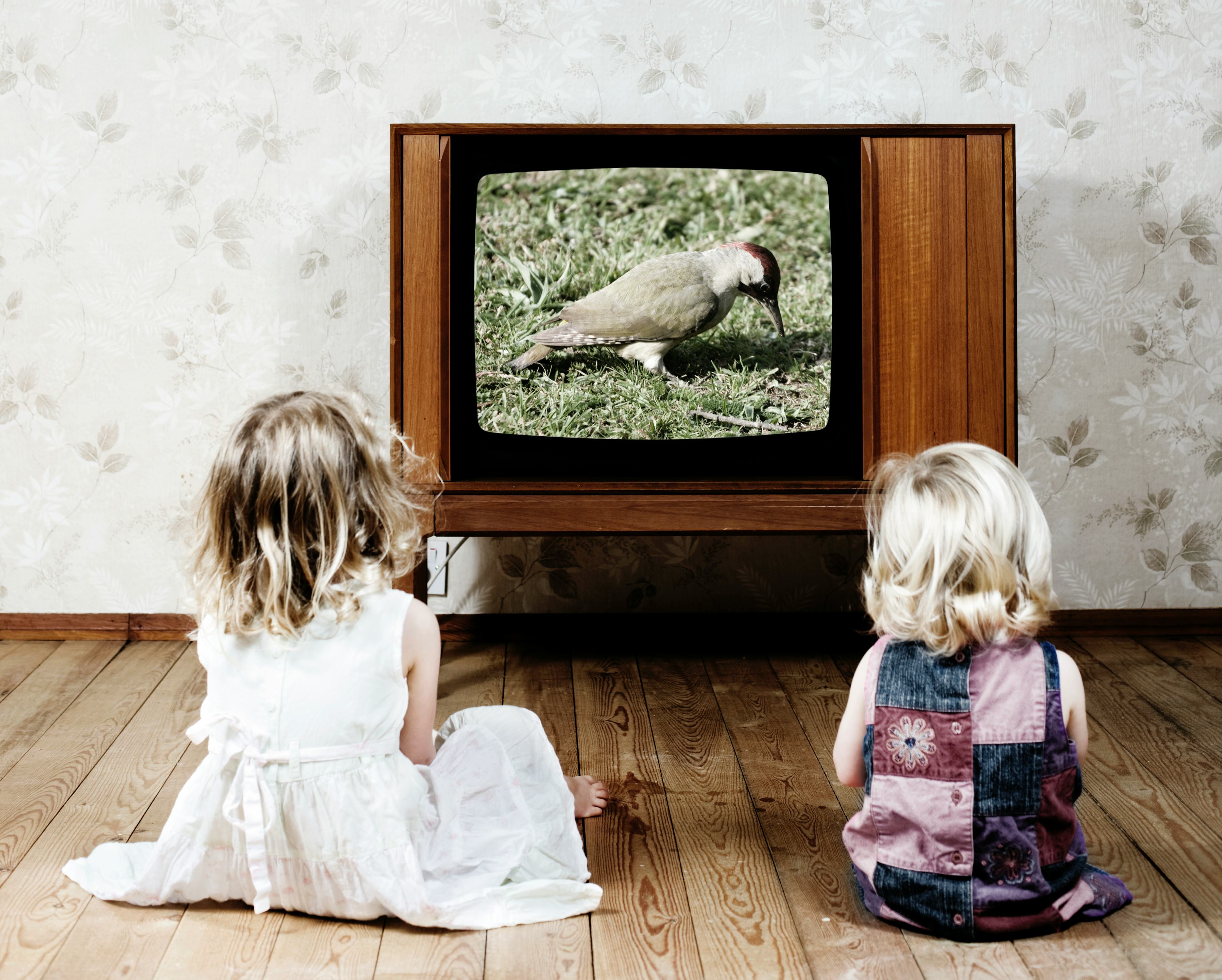 Children watching TV