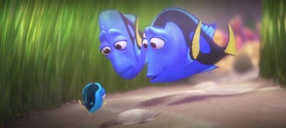'Finding Dory'' picks up where 'Finding Nemo' left off