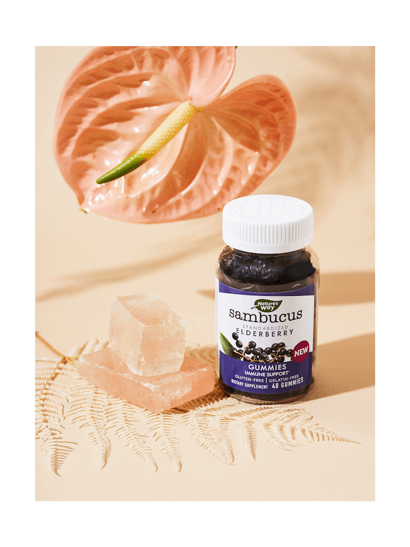 Nature's Way® Sambucus Elderberry Gummies