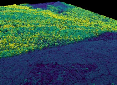 overhead scan showing Borneo forest area 