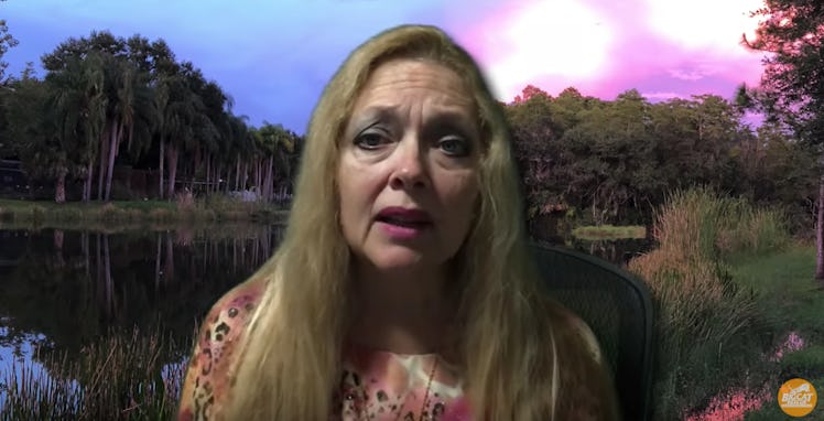 Carole Baskin, founder and CEO of Big Cat Rescue, speaks on Joe Exotic's conviction.