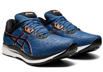 Asics Evoride