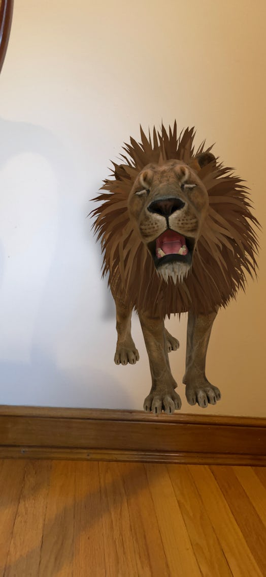 Google's 3-D animal feature puts virtual lions and tigers in your house.