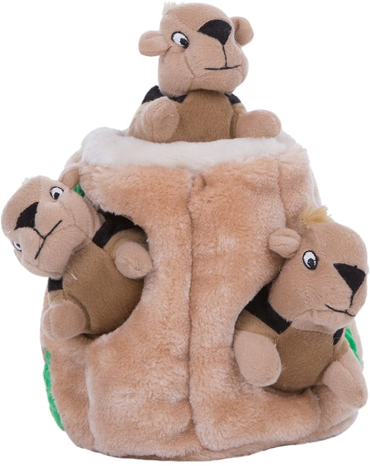 Outward Hound Squirrel Toy