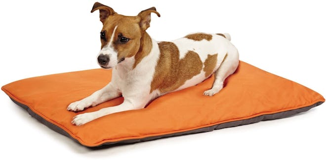 Insect Shield Insect Repellent Dog Bed