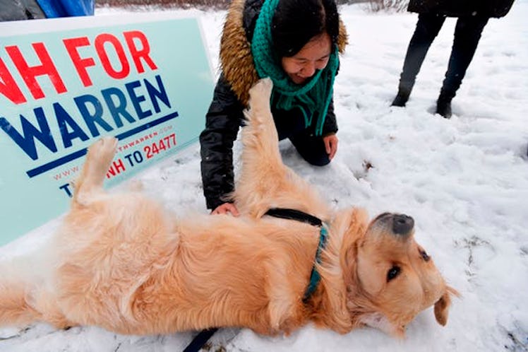 Supporters of US Presidential Candidate and Massachusetts Senator Elizabeth Warren greet her dog Bai...