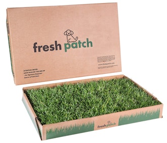 Fresh Patch Disposable Dog Potty with Real Grass