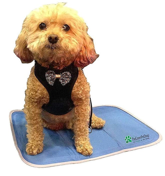 TheGreenPetShop Dog Cooling Mat