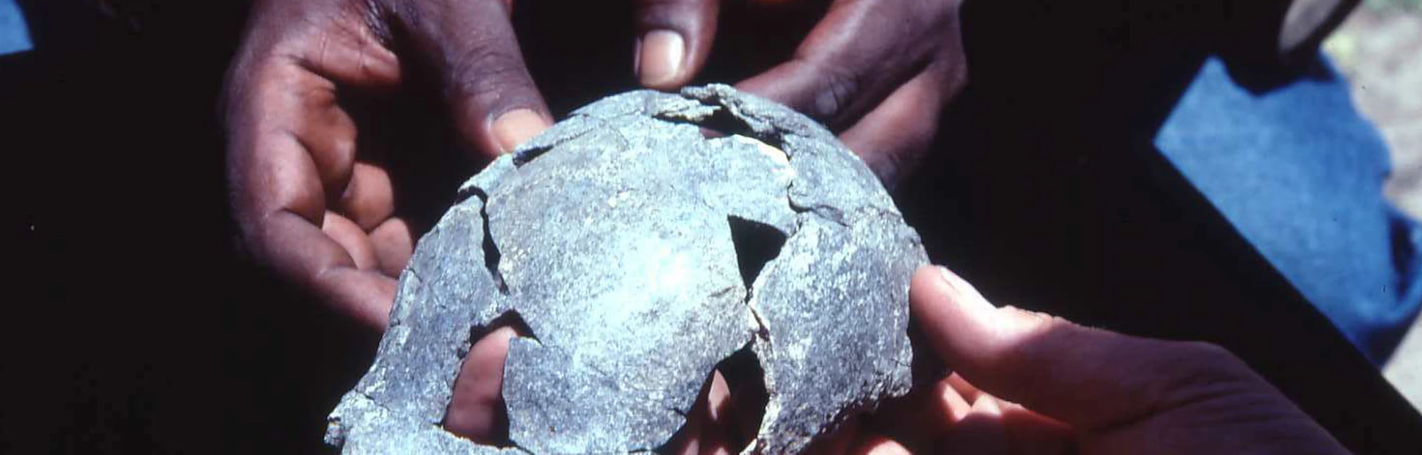 Homo erectus study reveals 4 new facts about this ancient human