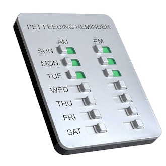 Allinko Magnetic Dog Feeding Reminder