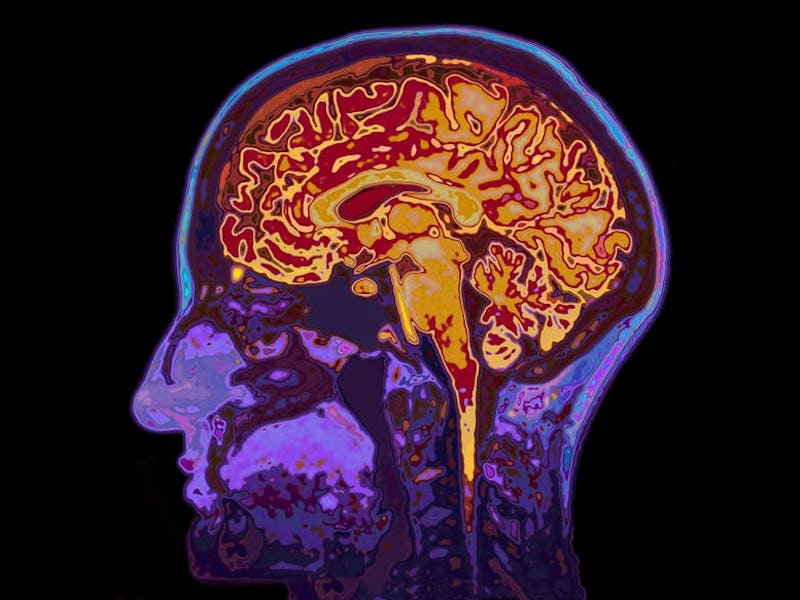 We’re still learning about the human brain.