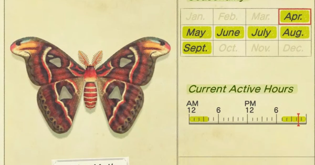 Atlas moth new horizons deals