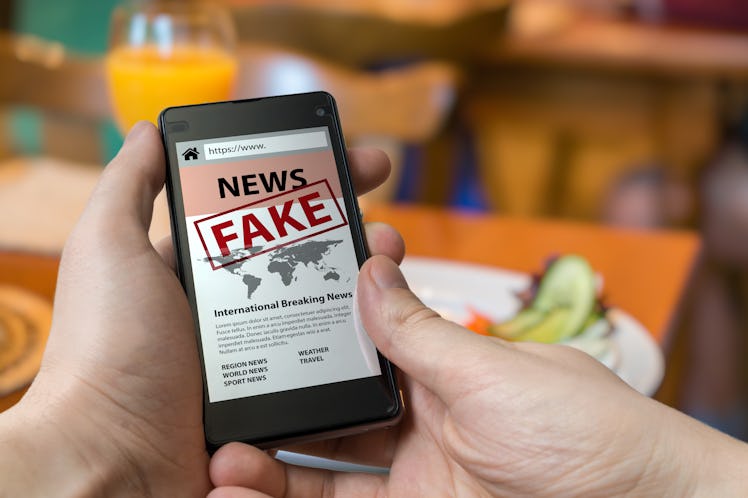 A person holding the phone with big "Fake News" caption on the screen.