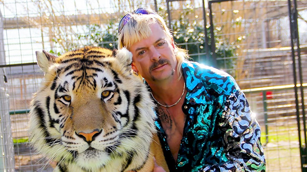 These 15 Tiger King Zoom Backgrounds Feature The Whole Cast Of