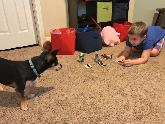 dogs and kids in quarantine are loud and messy