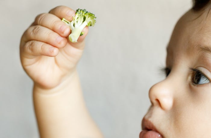 Baby closely examining a piece of broccoli