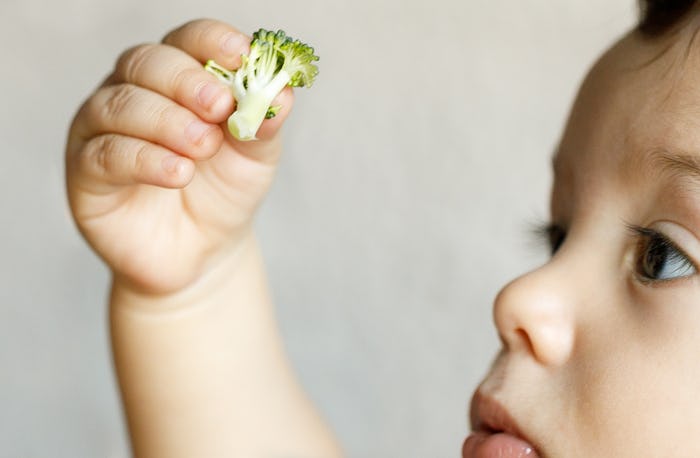 Baby closely examining a piece of broccoli 