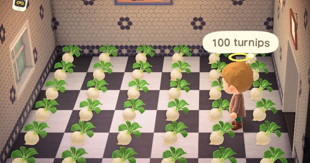 Can I Put Turnips In Storage?