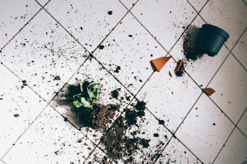 A broken planter on the floor, knocked over as a result of coronavirus stress making people clumsier