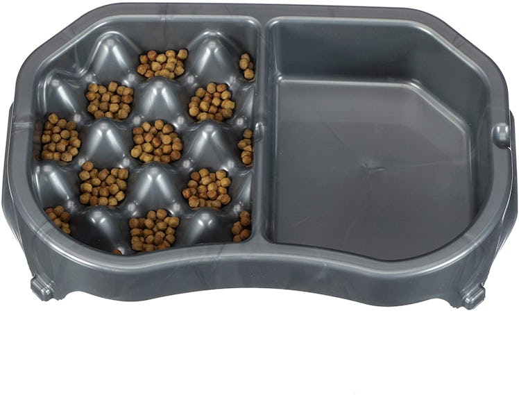 Neater Pet Brands Slow Feeder Dog Bowl 