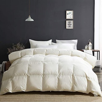 APSMILE All Season Goose Down Comforter (Queen)