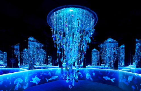 Arcadia Earth is an interactive pop up museum dedicated to educating people about climate change.