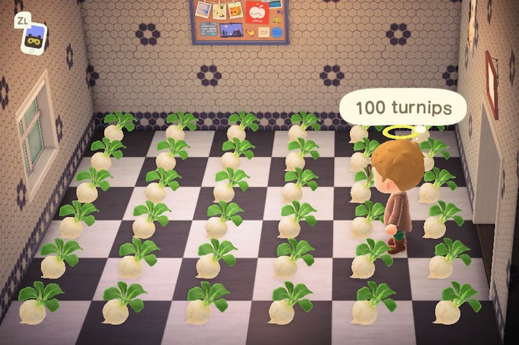Animal Crossing character standing in a room full of turnips