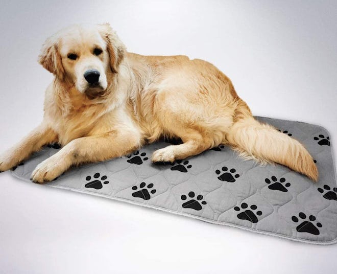 Gorilla Grip Waterproof Bed Mat