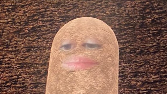 A zoom filter made a woman look like a potato