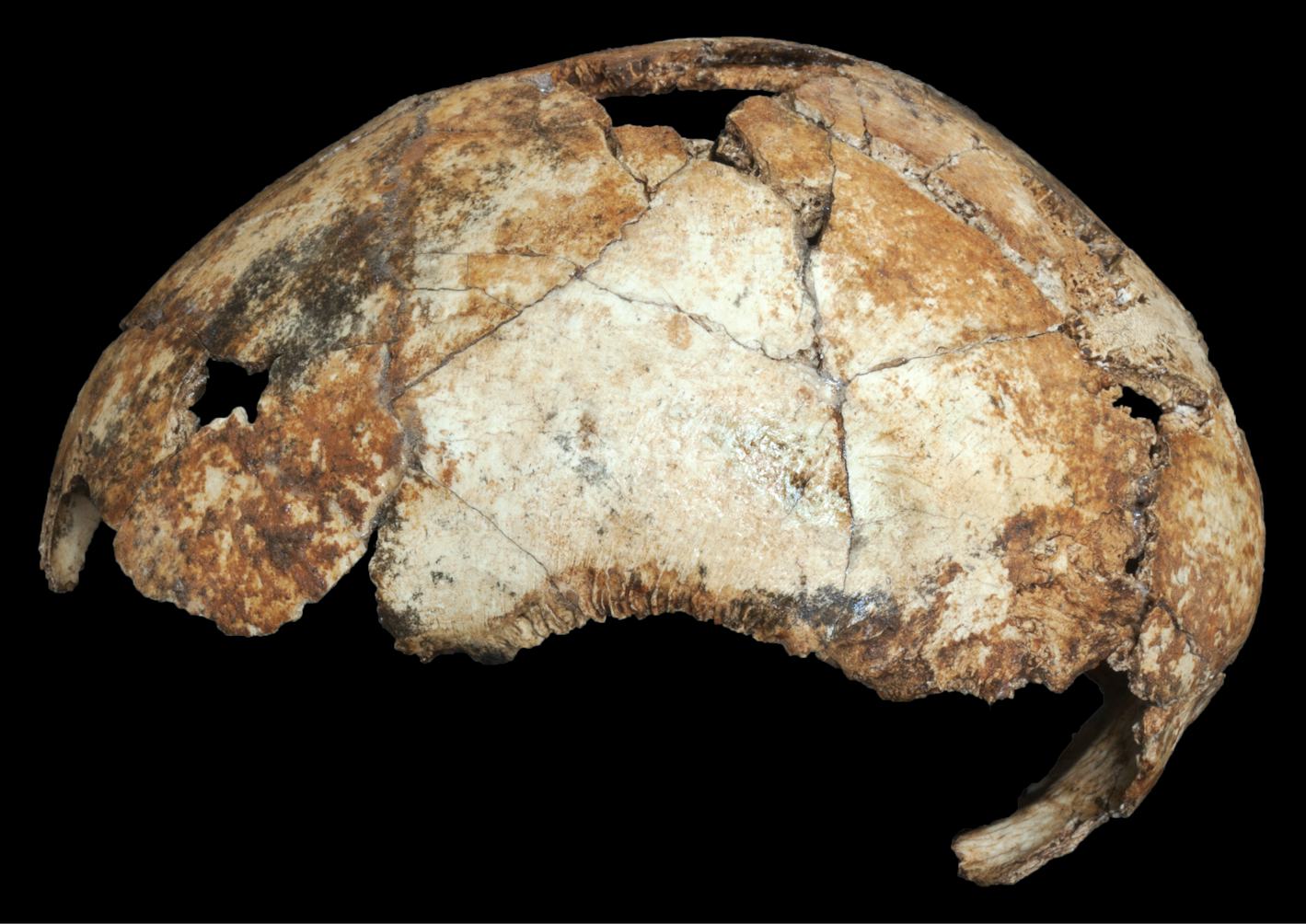 2 million-year-old ancient human skull fossils rewrite the “story of us”