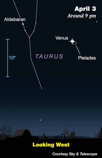 how to watch venus and pleiades meet in a rare cosmic rendezvous this weekend