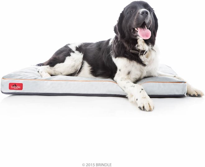 Brindle Soft Memory Foam Dog Bed