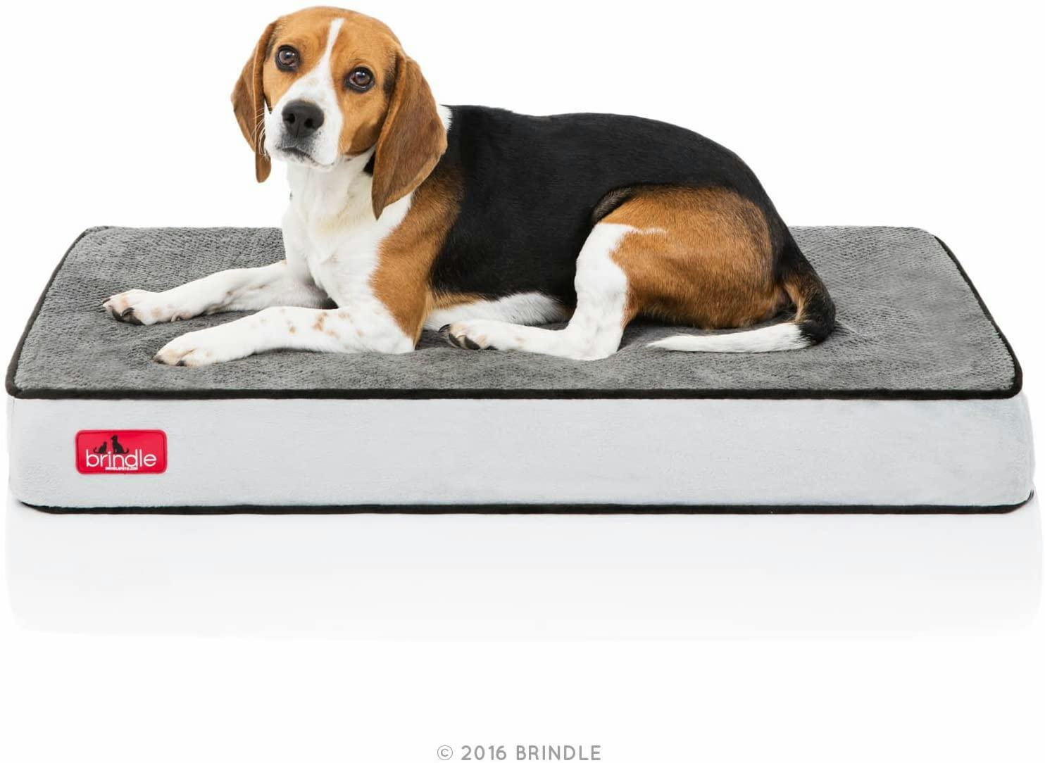 The 7 Best Waterproof Dog Crate Mats