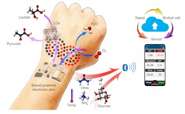 sweat powered wearable