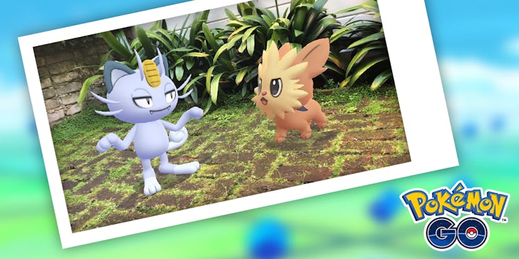 Lillipup and Meowth in Pokémon GO