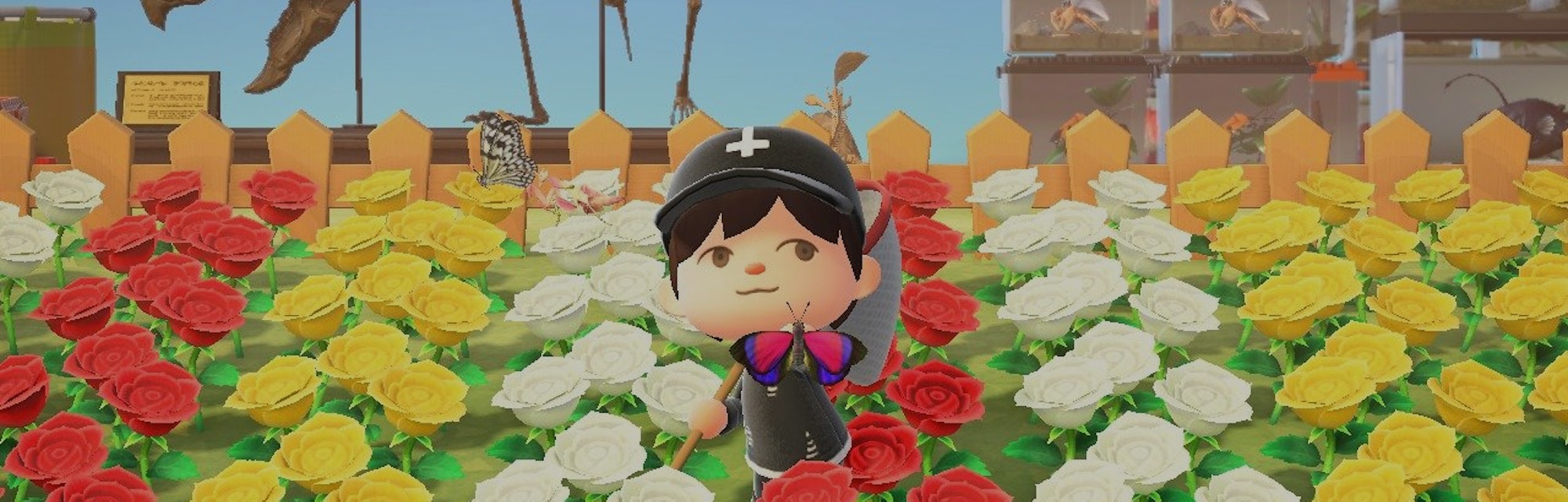 Animal Crossing Hybrid Flowers How To