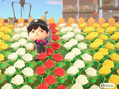 Animal Crossing Hybrid Flowers How To