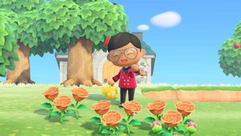 Animal Crossing Hybrid Flowers How To Cross Breed New Types And Colors