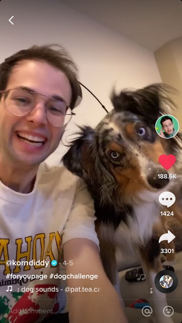 A happy man laughs as his dog react to a sound in a TikTok challenge.
