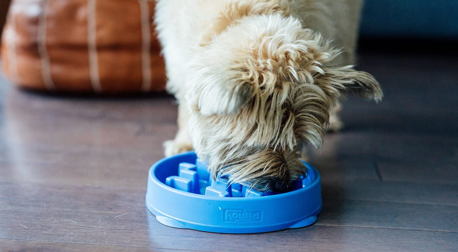 The 4 Best Dog Bowls For Fast Eaters   Ef0e7790 3cf1 4a20 Be48 56f34339749e Best Dog Bowls For Fast Eaters 